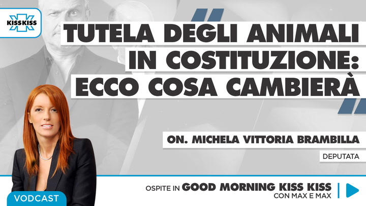 Tutela degli animali in Costituzione: cosa cambia? in Good Morning Kiss Kiss