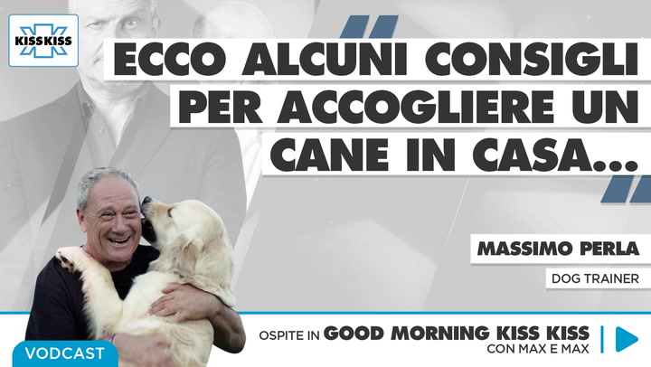 Giornata mondiale degli animali: i consigli di Massimo Perla per accogliere un cucciolo in casa in Good Morning Kiss Kiss