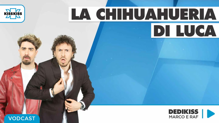 La Chihuahuaeria di Luca in Dedikiss