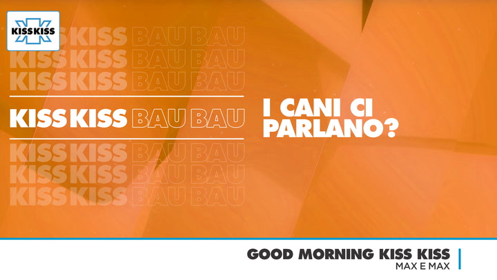 Kiss Kiss Bau Bau: a modo loro i cani ci parlano? In Good Morning Kiss Kiss (AUDIO)