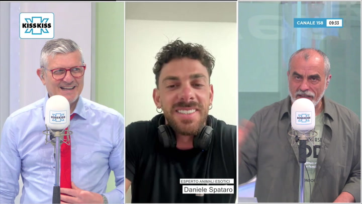 Animali esotici: quali sono i piu' diffusi in Italia e come curarli