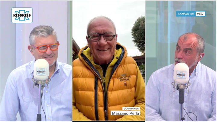 Cani e freddo: quali sono le razze che lo sopportano peggio in Good Morning Kiss Kiss