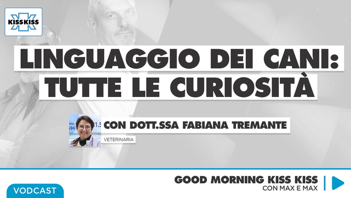 Linguaggio dei cani: tutte le curiosita' in attesa della tappa di Napoli di "Quattro Zampe In Fiera" in Good Morning Kiss Kiss