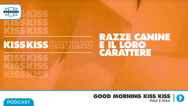 Kiss Kiss Bau Bau - Razze dei cani e "carattere" sono davvero collegati? Ne parliamo con il dog trainer Massimo Perla in Good Morning Kiss Kiss (AUDIO)
