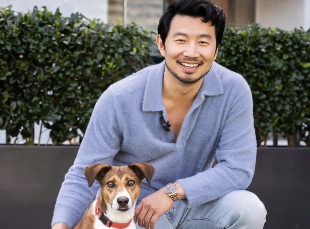 Simu Liu descrive Avengers: Doomsday come “una dichiarazione d’amore al mondo dei film di supereroi”