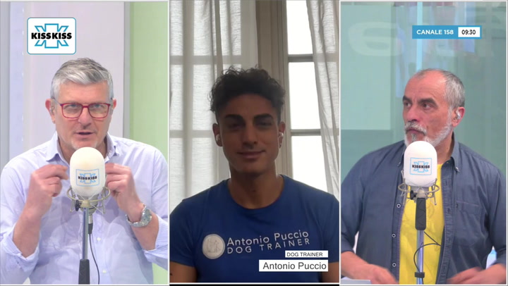 Riconfermato bonus animali: ecco i requisiti in Good Morning Kiss Kiss