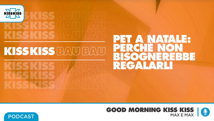 Pet a Natale: perche' non regalarli in Good Morning Kiss Kiss (AUDIO)