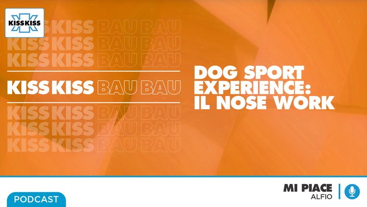 Dog Sport Experience: Il Nose Work - Mi Piace (AUDIO)