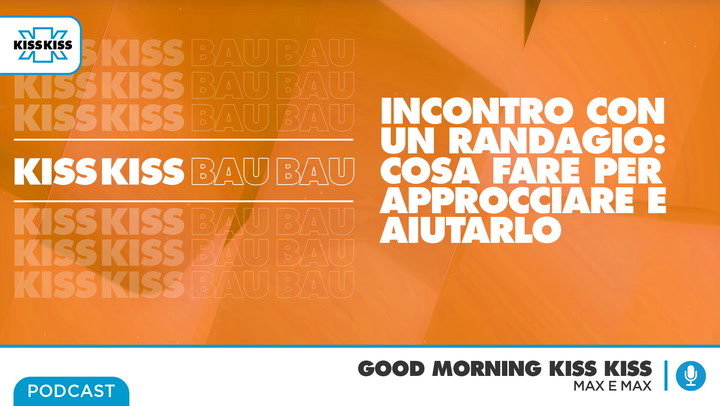 Kiss Kiss Bau Bau: Le cose da fare quando incontriamo un cane randagio in Good Morning Kiss Kiss (AUDIO)