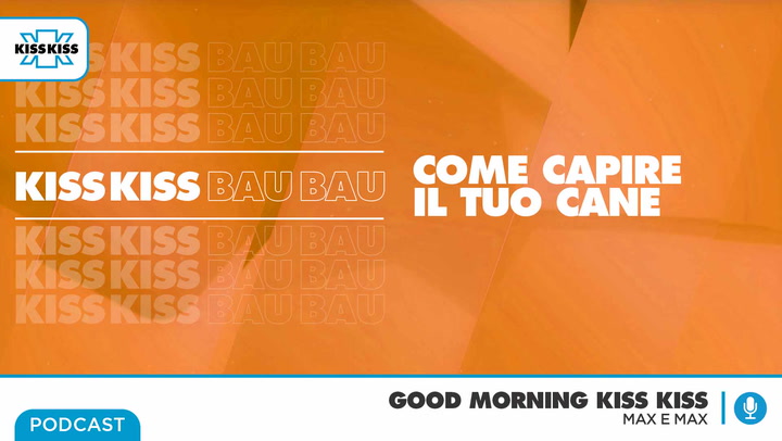 Kiss Kiss Bau Bau: "come capire il tuo cane" in Good Morning Kiss Kiss (AUDIO)