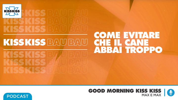 Kiss Kiss Bau Bau - Cani che abbaiano problema del cane o del padrone in Good Morning Kiss Kiss (AUDIO)