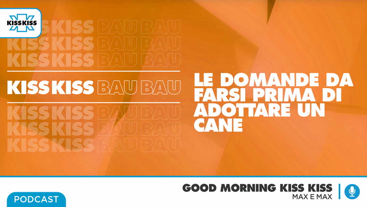 Dog Trainer Massimo Perla In Good Morning Kiss Kiss (AUDIO)