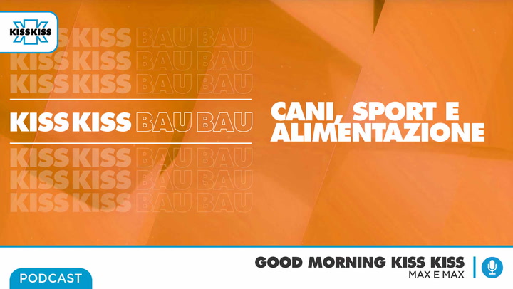 Kiss Kiss Bau Bau: Cani