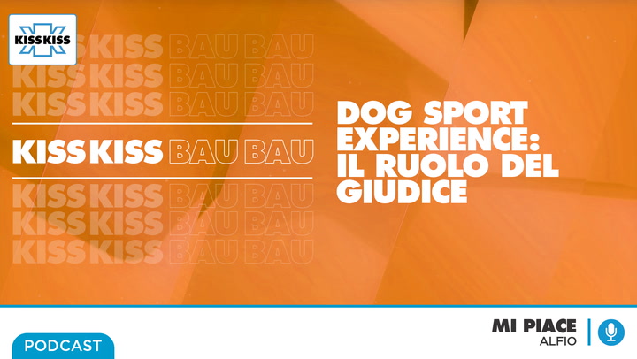 Dog Sport Experience: il ruolo del giudice in Mi Piace (AUDIO)