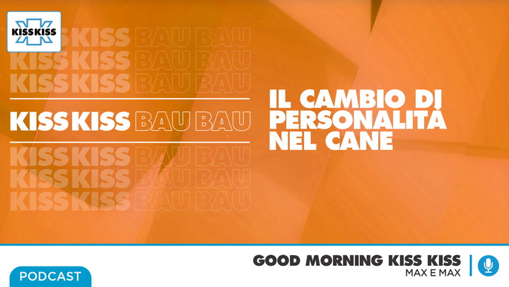 Amici a quattro zampe: cosa significa e cosa fare quando cambiano comportamento in Good Morning Kiss Kiss (AUDIO)