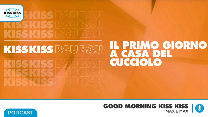 Dog Trainer Massimo Perla In Good Morning Kiss Kiss 05/06/2021 (AUDIO)