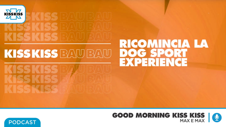 Kiss Kiss Bau Bau: comincia il Dog Sport Experience. Tutte le info in Good Morning Kiss Kiss (AUDIO)
