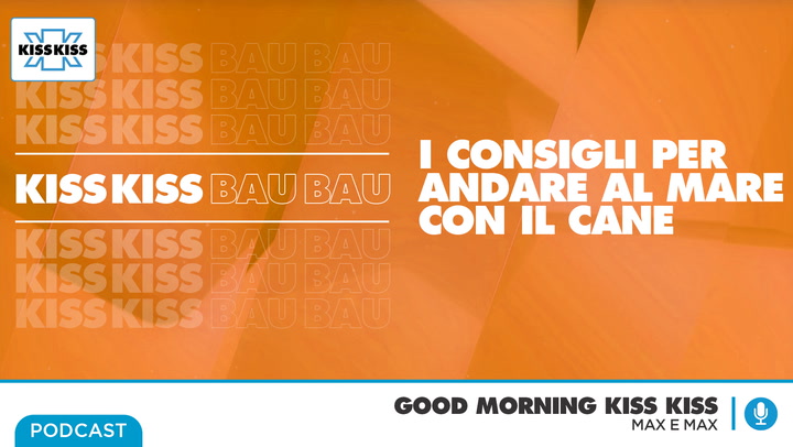 Pet in spiaggia: tutte le regole per andare al mare con fido in Good Morning Kiss Kiss (AUDIO)
