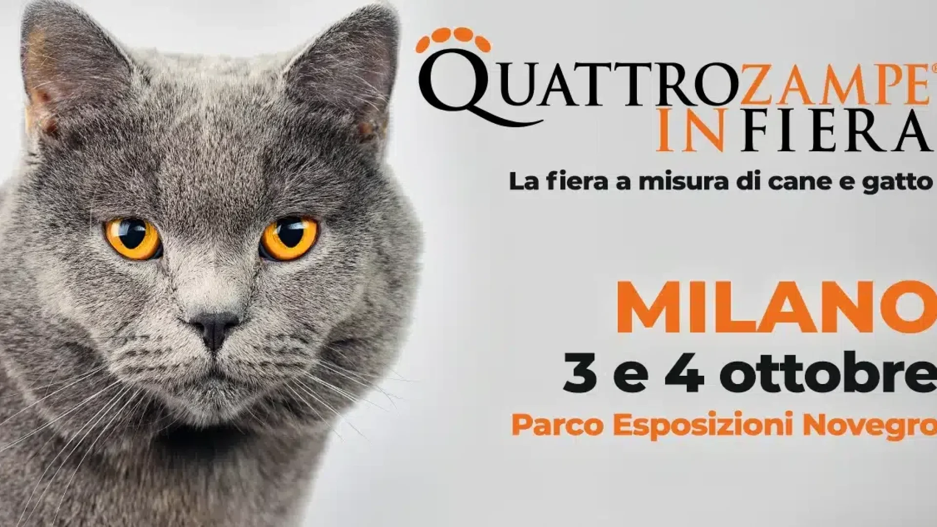 Quattrozampeinfiera Milano 2026, 50ª edizione al Parco Esposizioni Novegro