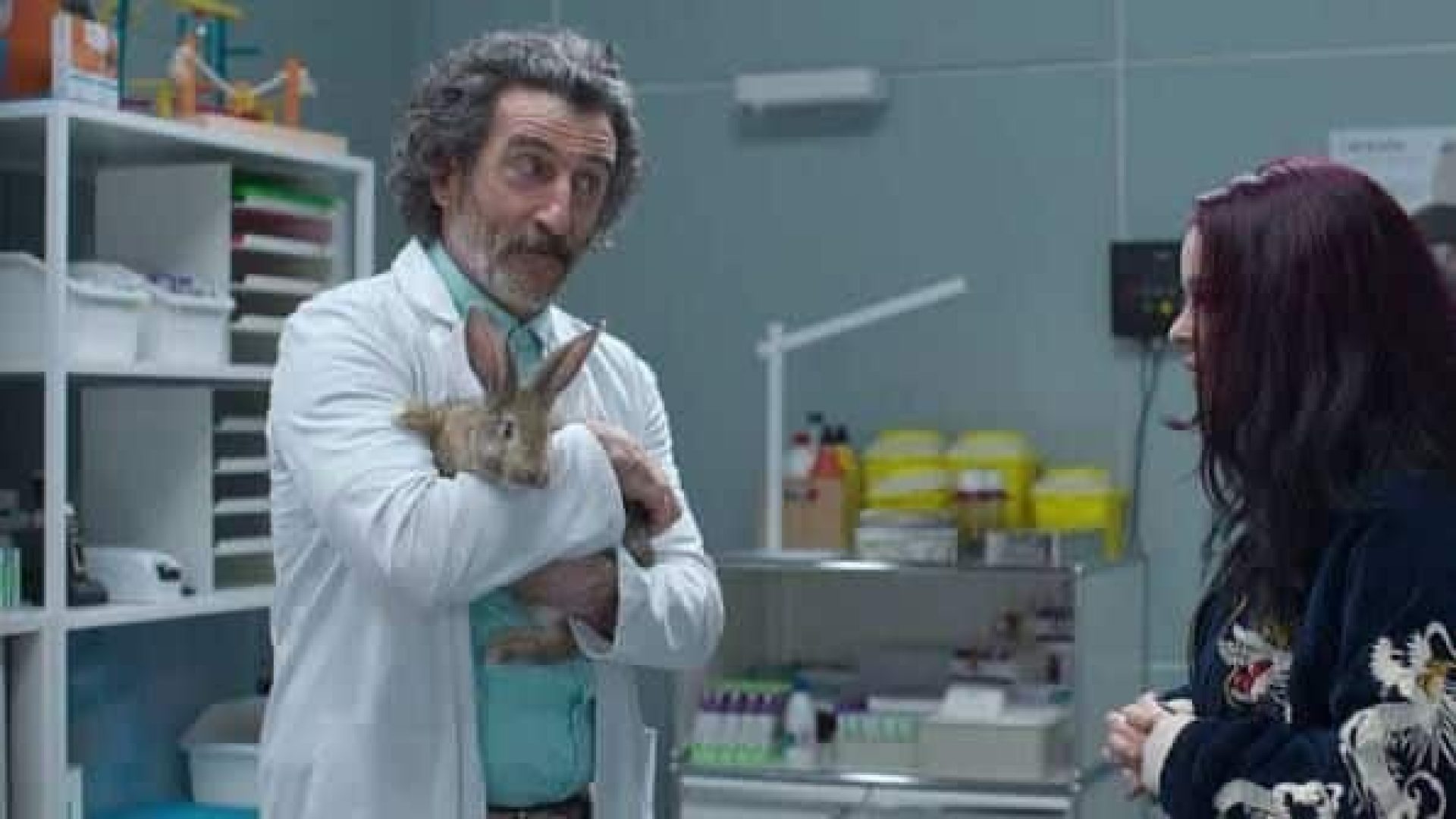 Animal-Netflix.jpeg