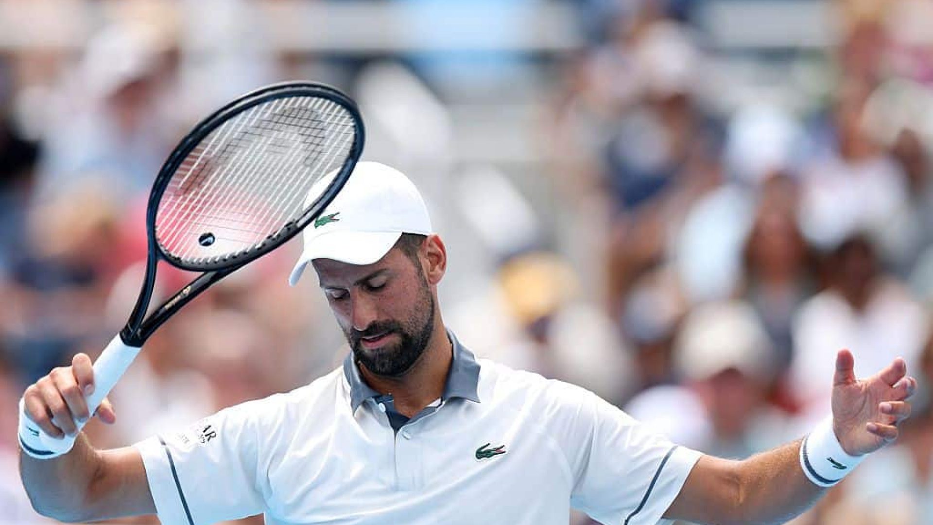 Djokovic-99.jpg