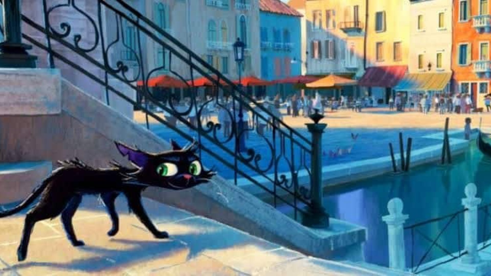 Gatto-film.jpeg