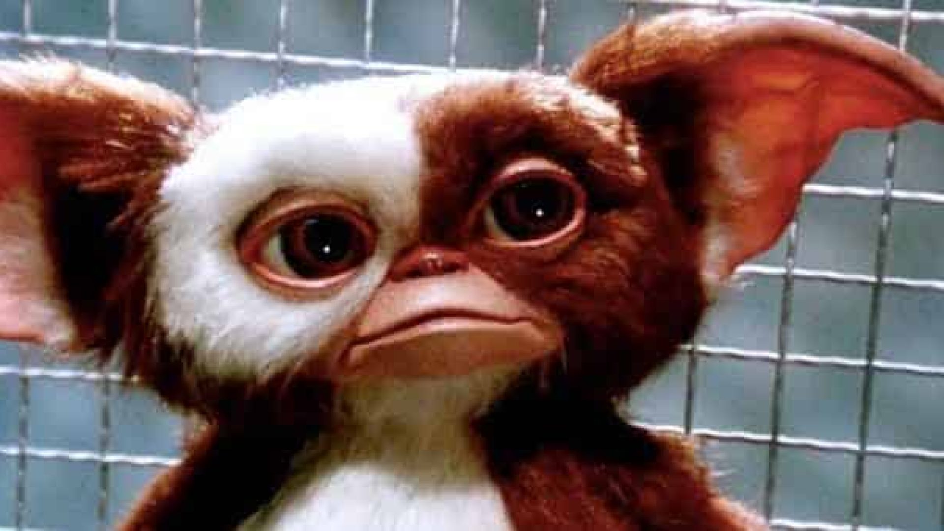 Gremlins-9.jpeg