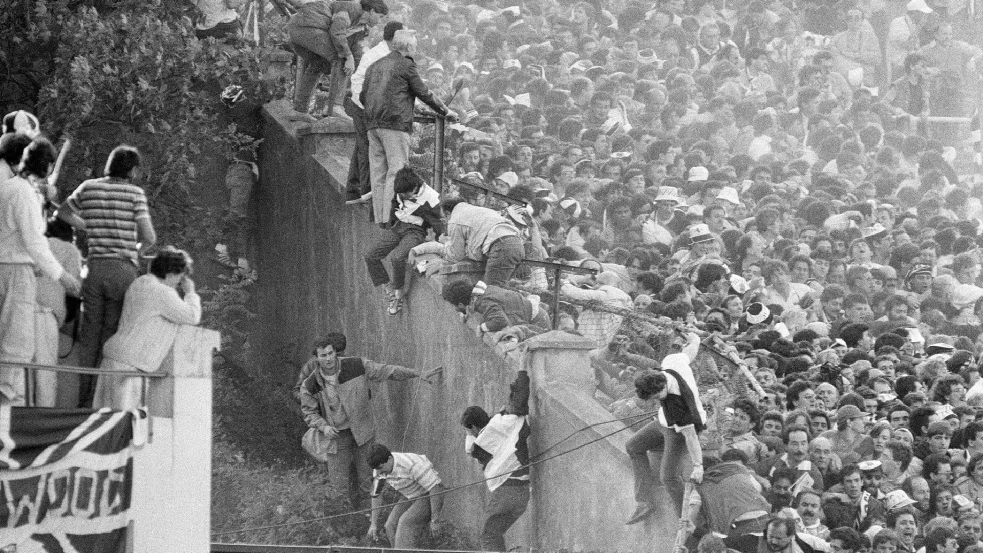 Heysel2772.jpg