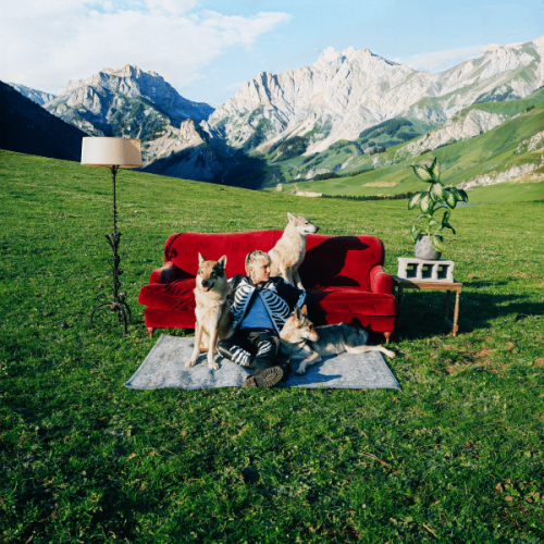 Il Tre - CANI RANDAGI 600x600