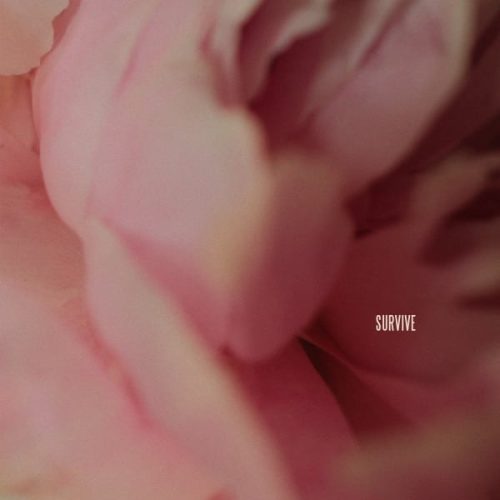 LEWIS CAPALDI - Survive 600x600