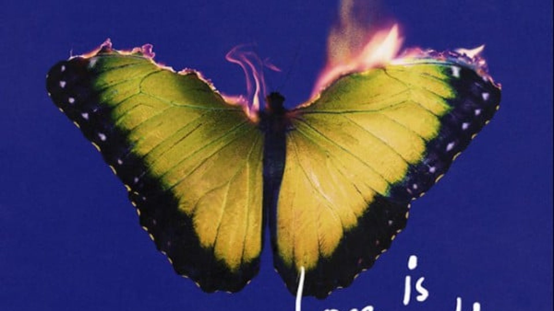 MAROON 5 cover-artwork-600x600