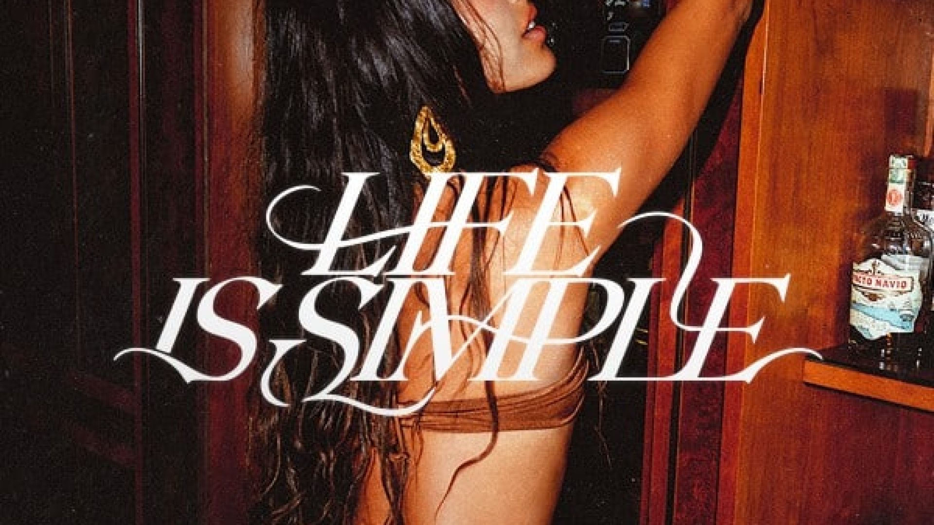 Maesic & Marshall Jefferson ft. Salomé Das - Life Is Simple (Move Your Body) 600x600