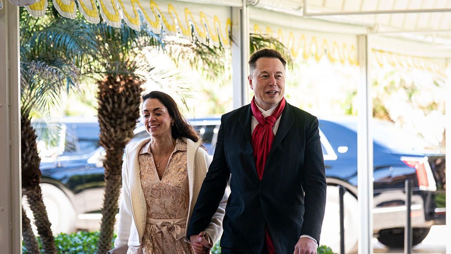 Musk-zilis.jpg