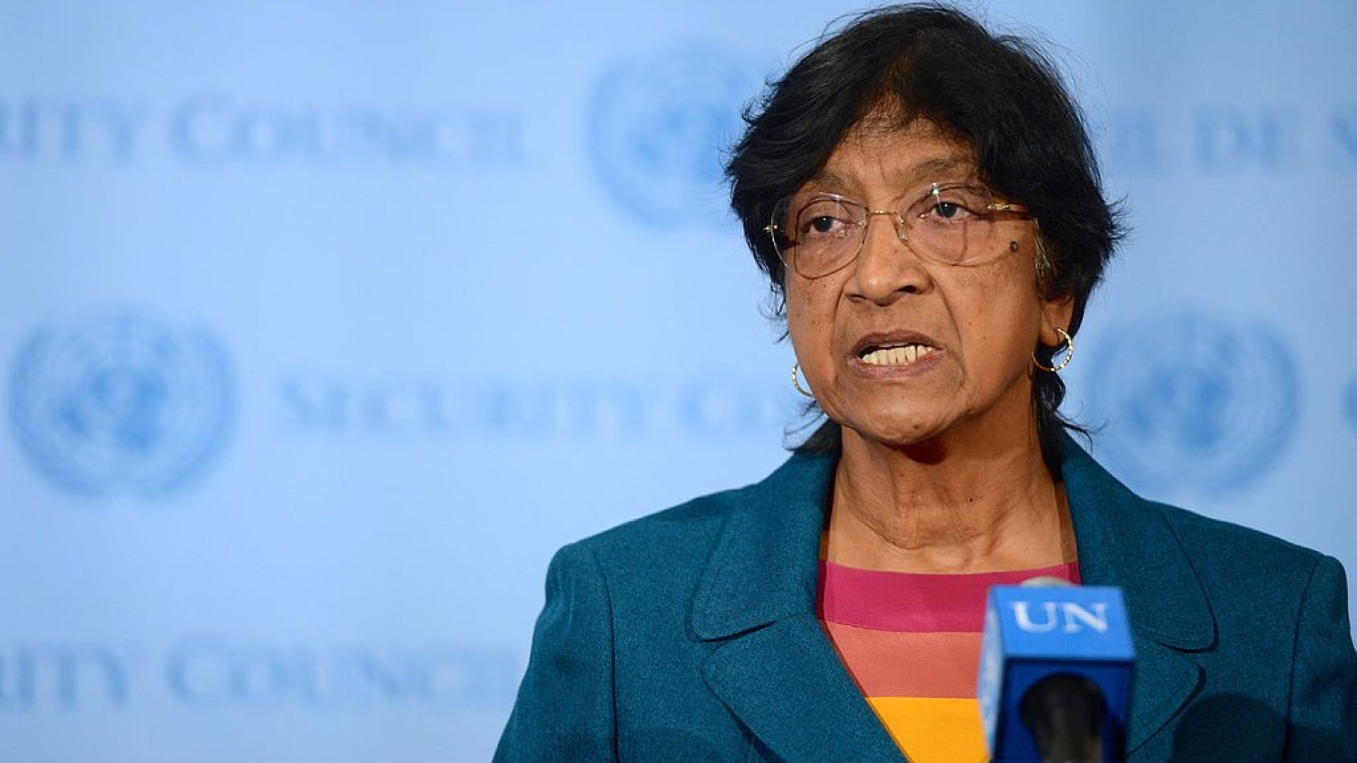 Navi Pillay.jpg
