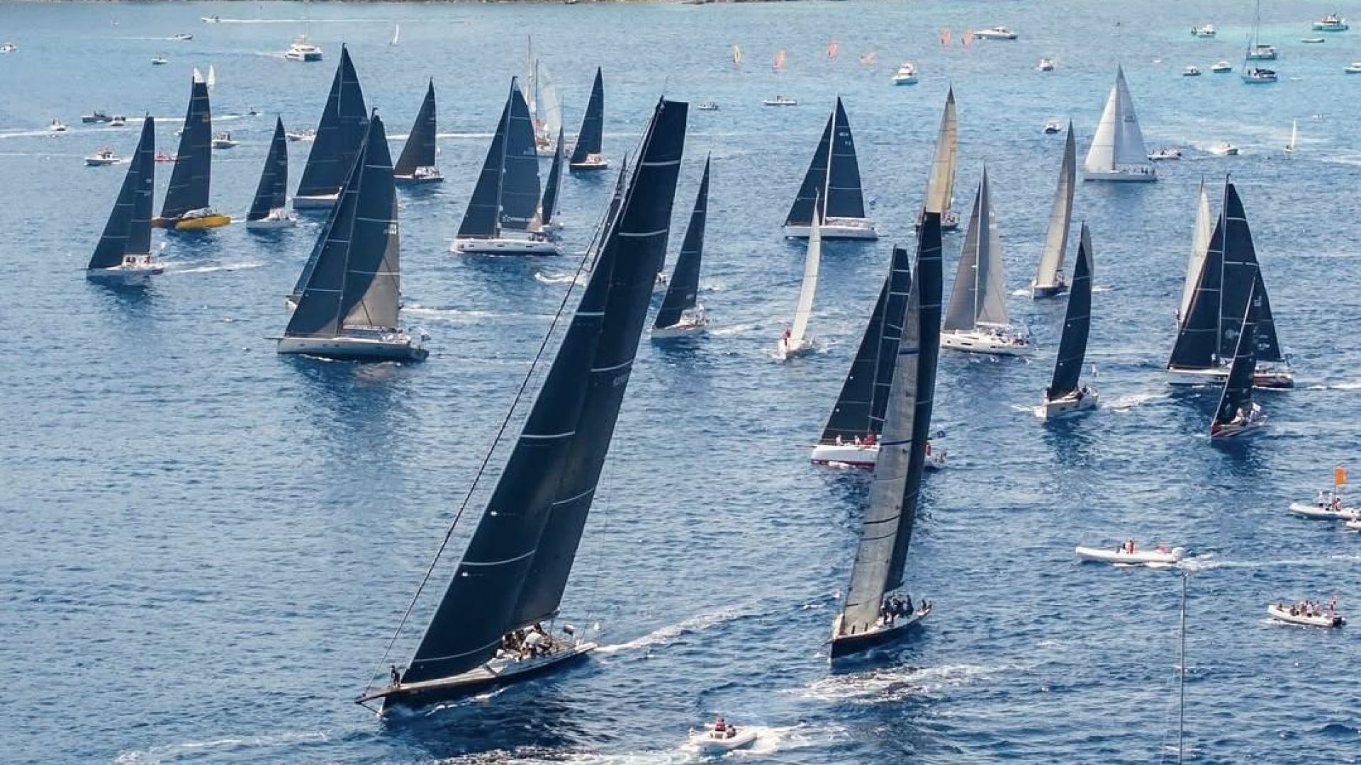Vela89.jpg