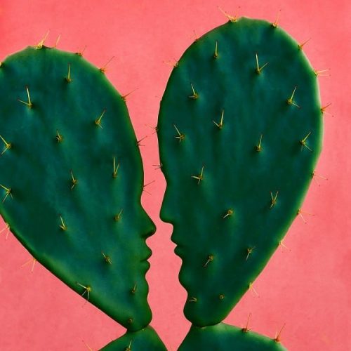 Willie Peyote - NEXT 600x600