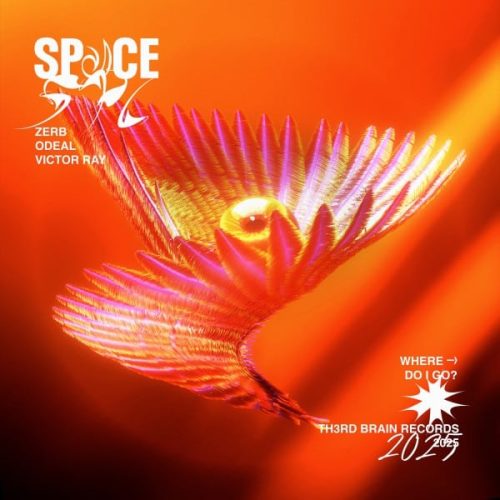Zerb, Odeal and Victor Ray - Space 600x600