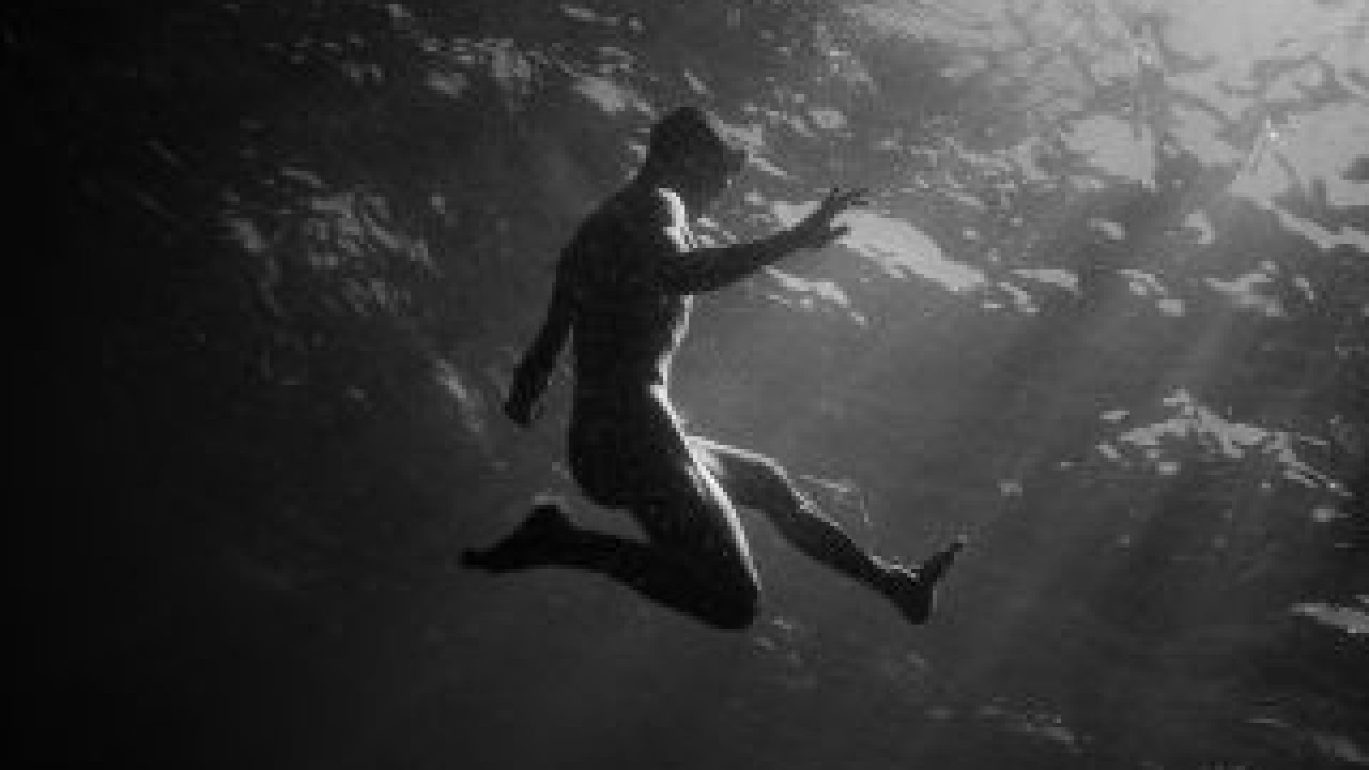 finchenonmiseppelliscono