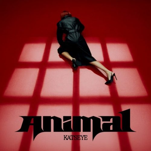 katseye_animal_digital-cover-600x600