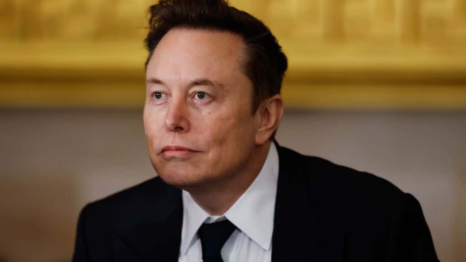 musk32.jpg