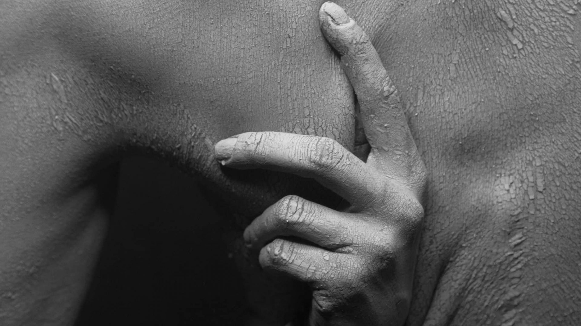 pexels-kristina-nor-3219552