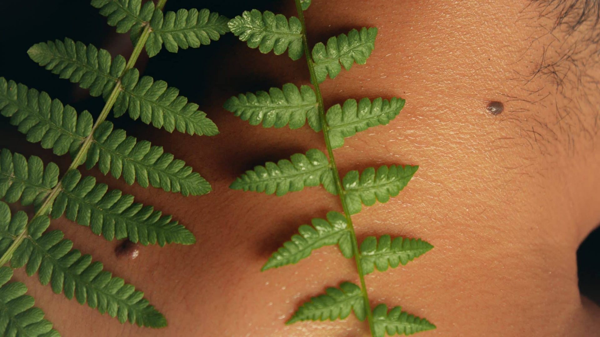 pexels-saul-ticona-16831883