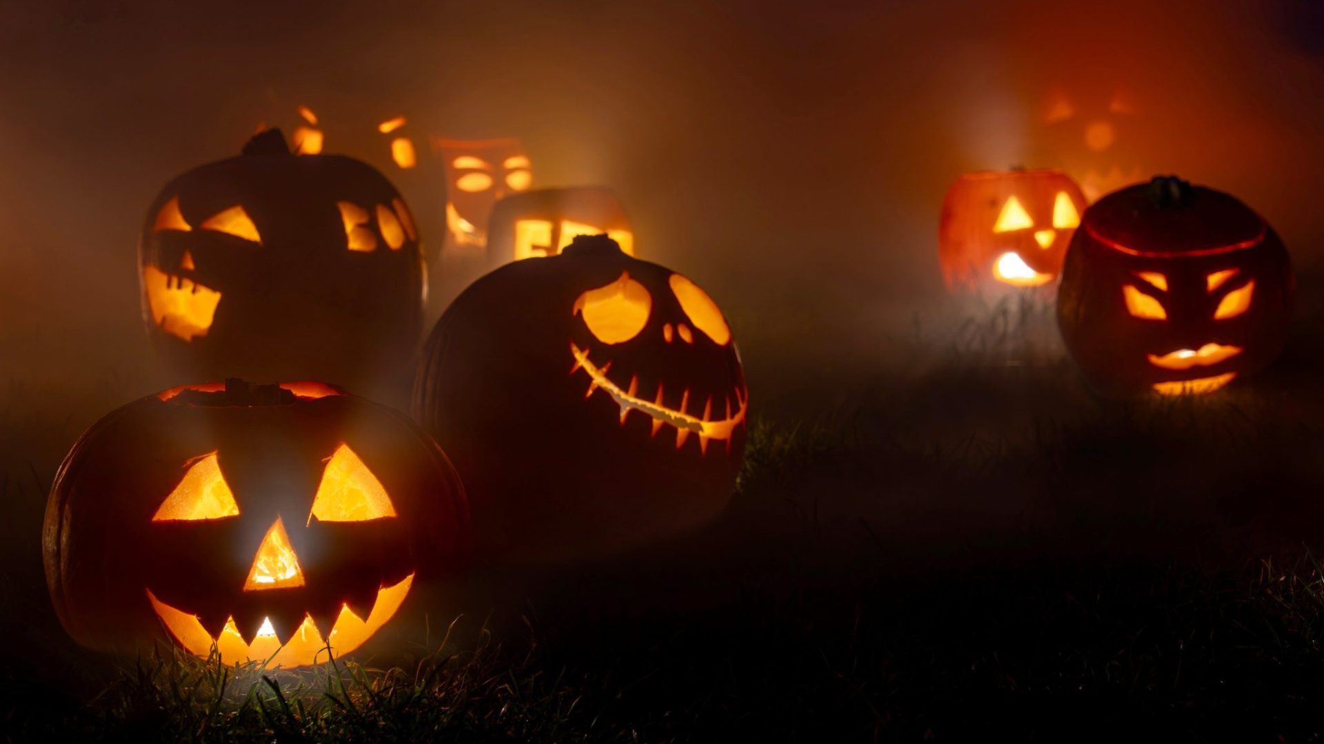 suju-foto-pumpkin-10520325.jpg