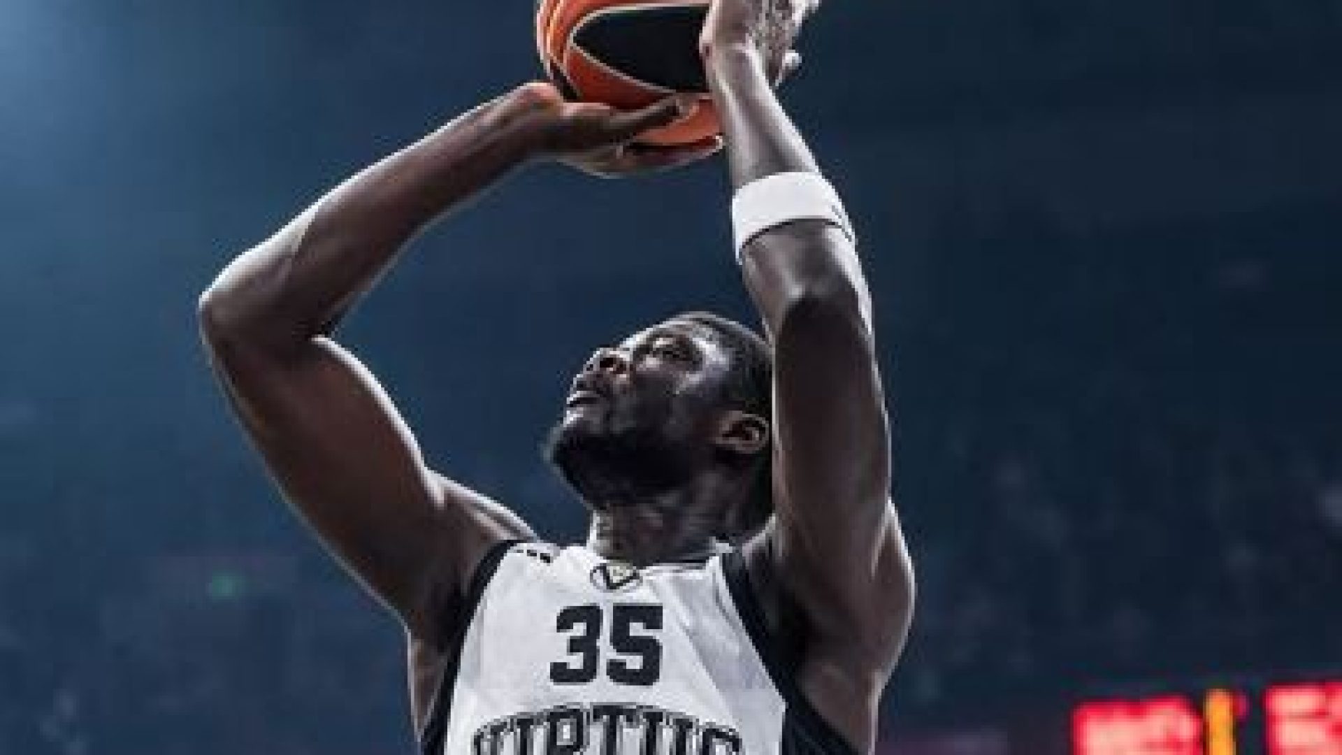 virtus.32.JPG