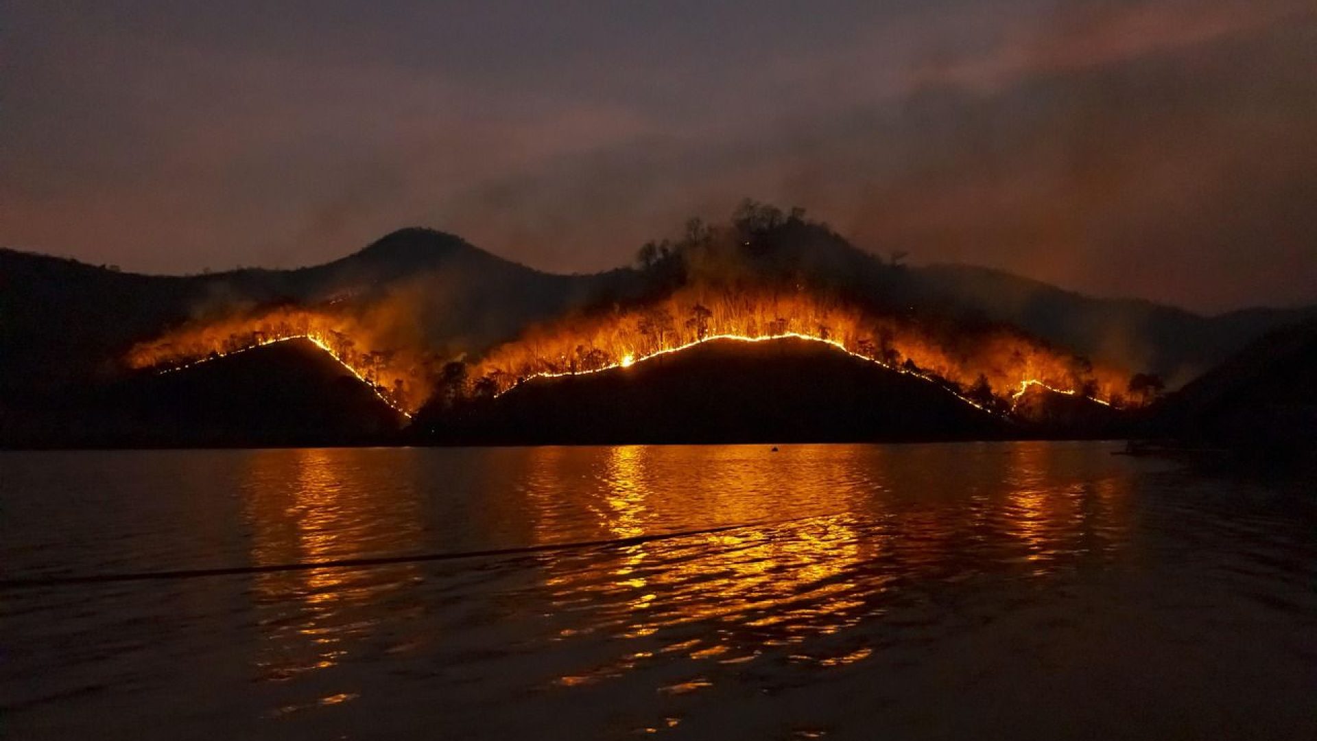 wildfire-4755030_1280.jpg