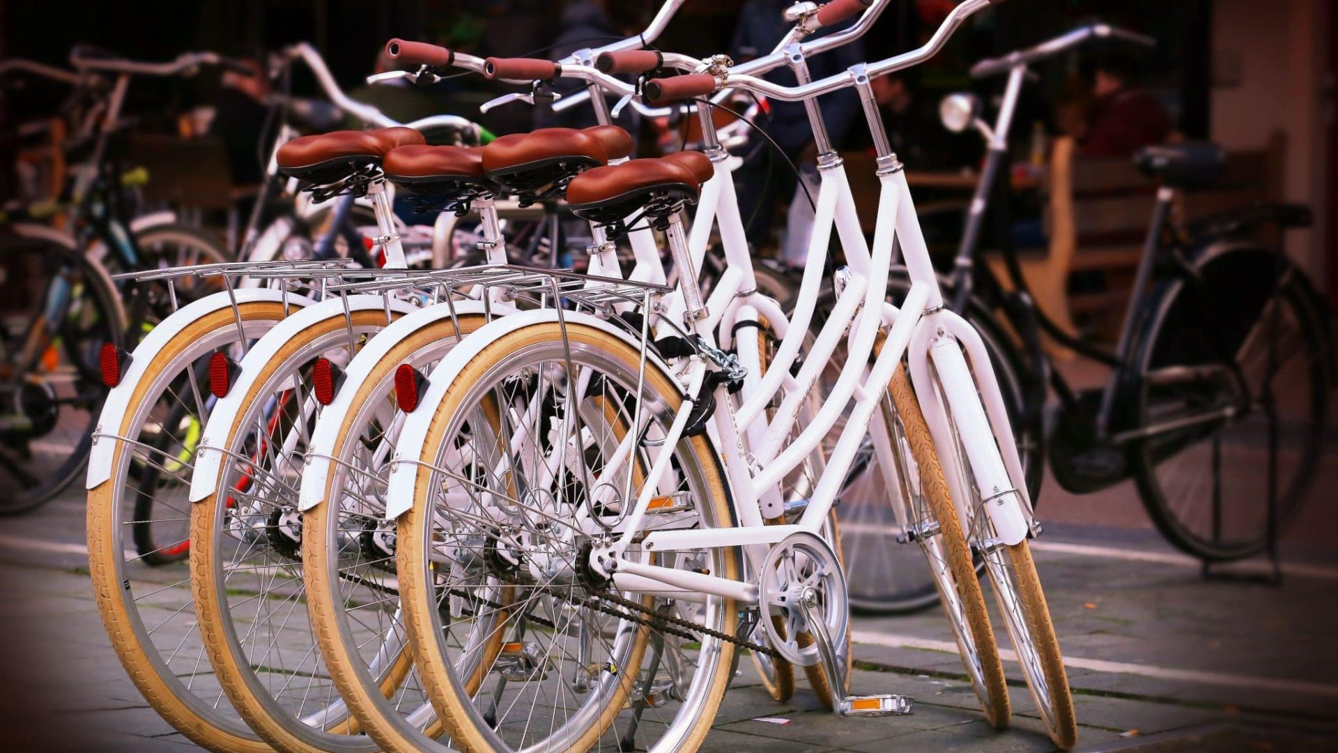 yorgunum-bicycles-737190.jpg